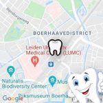 Orthodontie Leiden, Rijnsburgerweg 7, 2334 BA Leiden, Nederland